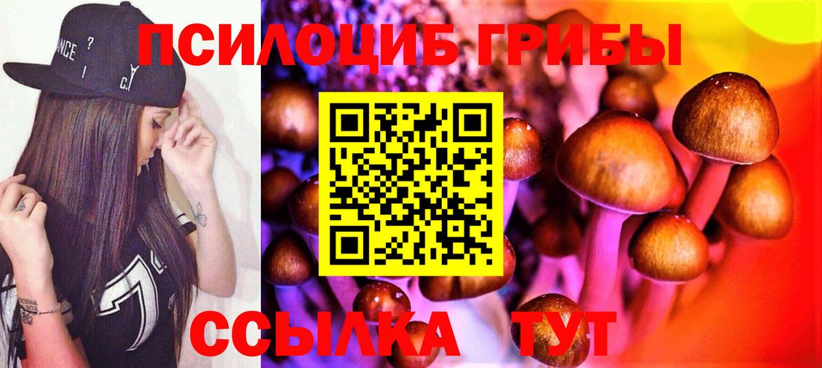 Галлюциногенные грибы ЛСД Кировск