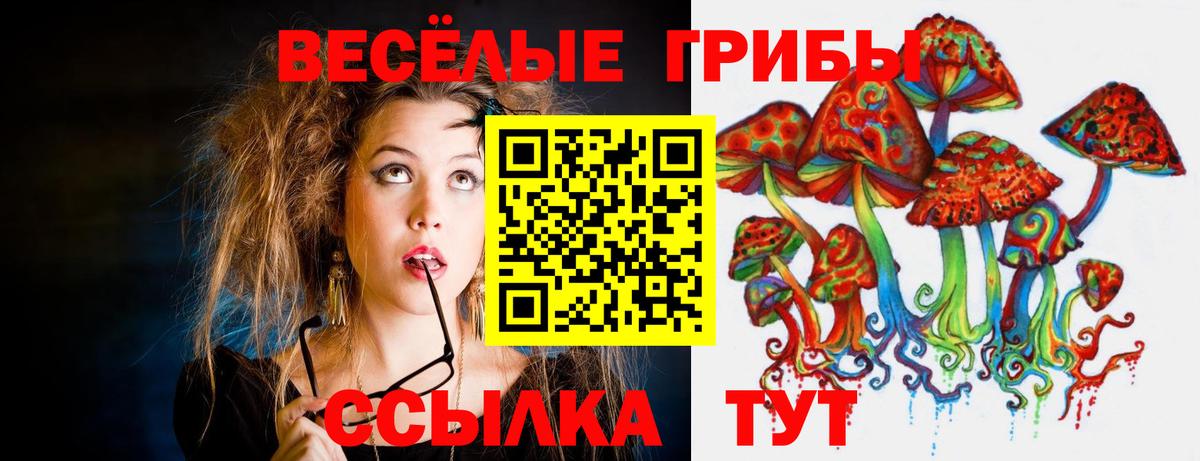 Псилоцибиновые грибы Psilocybe  Вход с VPN  Кировск 